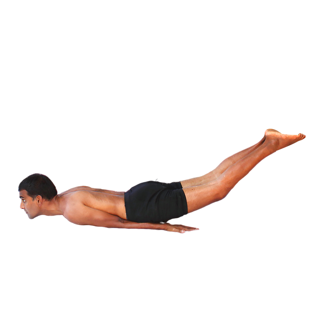 Asanas – Manavata Yoga